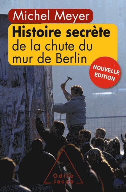 Michel Meyer - Histoire secrète de la chute du mur de Berlin, E-bok