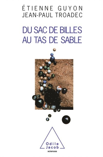 Jean-Paul Troadec, Etienne Guyon - Du sac de billes au tas de sable, E-bok
