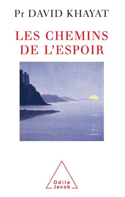 David Khayat - Les Chemins de l'espoir, E-bok