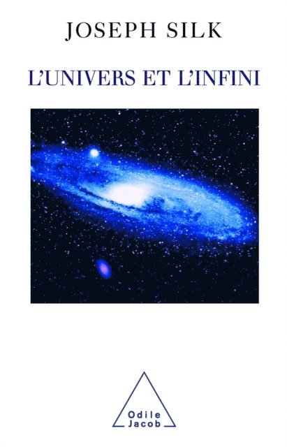 Joseph Silk - L' Univers et l’Infini, E-bok