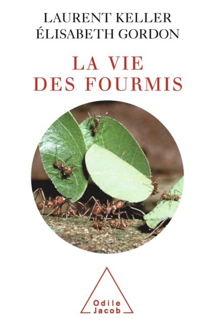 Elisabeth Gordon, Laurent Keller - La Vie des fourmis, E-bok