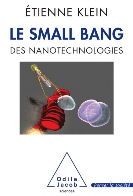 Etienne Klein - Le Small Bang des nanotechnologies, E-bok