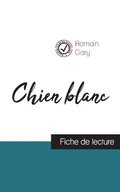 Chien blanc de Romain Gary (fiche de lecture et analyse complte de l'oeuvre)