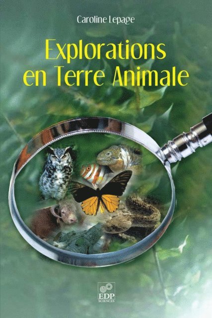 Caroline Lepage - Explorations en terre animale, E-bok