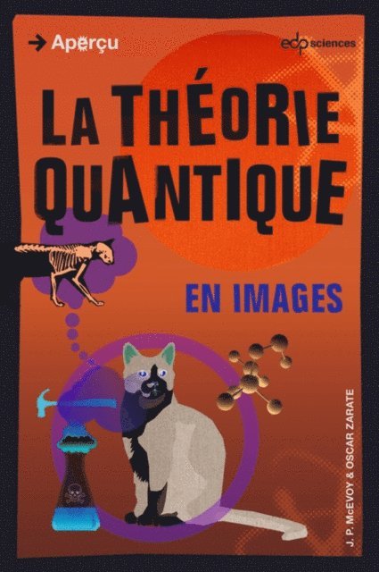 Oscar Zarate, J.P. McEvoy - La théorie quantique en images, E-bok