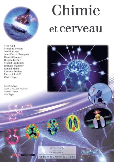 Claire Wyart, Pierre Sokoloff, Laurent Pradier, Ronald Melki, Bernard Mazoyer, Michel Lazdunski, Brigitte Kieffer, Daniel Choquet, Jean-Pierre Changeux, Joel Bockaert, Morgane Besson, Yves Agid, Paul Rigny, Daniele Olivier, Minh-Thu Dinh-Audouin - Chimie et cerveau, E-bok