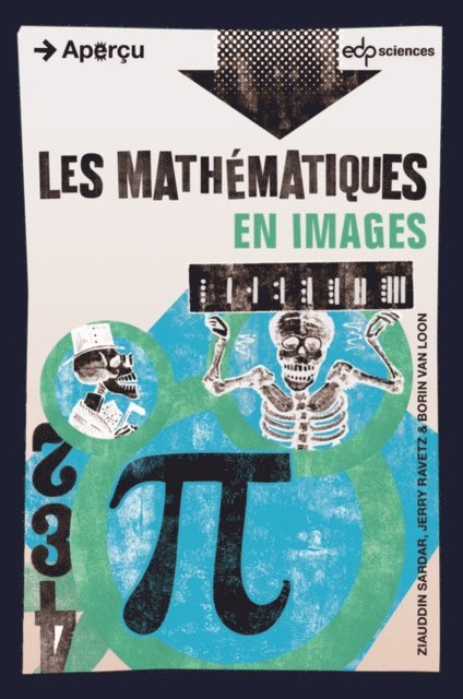 Jerry Ravetz, Ziauddin Sardar - Les mathématiques en images, E-bok