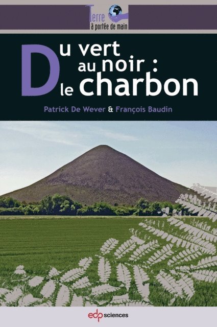 Francois Baudin, Patrick De Wever - Du vert au noir : le charbon, E-bok