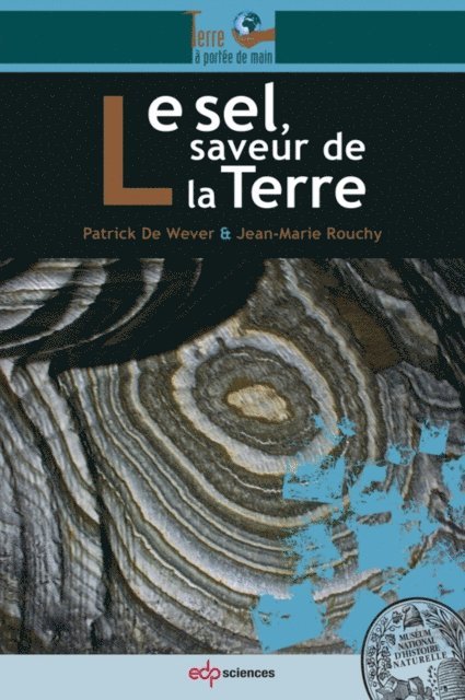 Jean-Marie Rouchy, Patrick De Wever - Le sel, saveur de la Terre, E-bok