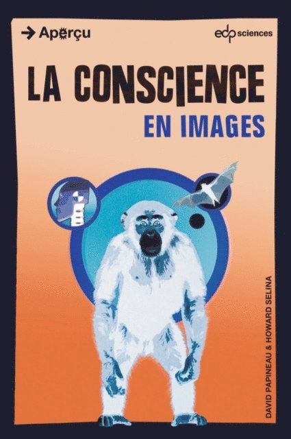Howard Selina, David Papineau - La conscience en images, E-bok