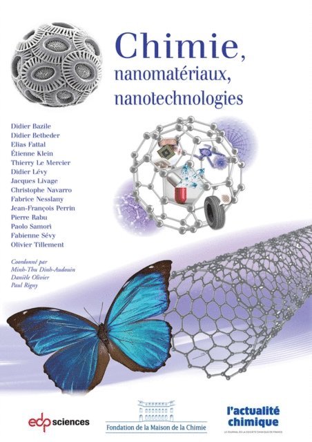 Olivier Tillement, Fabienne Sevy, Paolo Samori, Pierre Rabu, Jean-Francois Perrin, Fabrice Nesslany, Christophe Navarro, Jacques Livage, Didier Levy, Etienne Klein, Thierry Le Mercier, Elias Fattal, Didier Betbeder, Didier Bazile, Paul Rigny, Daniele Olivier, Minh-Thu Dinh-Audouin - Chimie, nanomatériaux, nanotechnologies, E-bok
