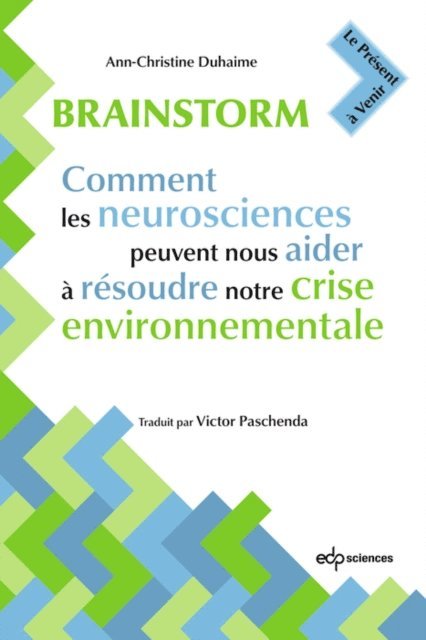 Ann-Christine Duhaime - Brainstorm, E-bok