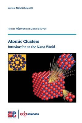 Patrice Mélinon, Michel Broyer - Atomic Clusters, Häftad