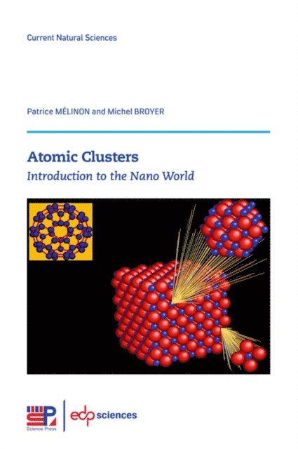 Patrice Melinon, Michel Broyer - Atomic Clusters, E-bok