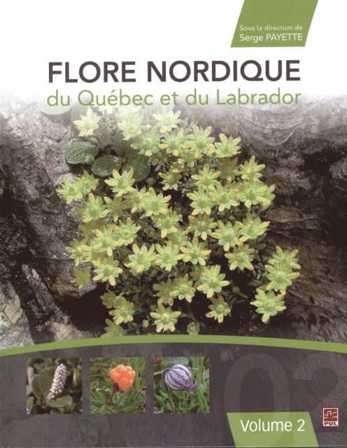 Payette Serge Payette - Flore nordique du Québec et du Labrador 02, E-bok