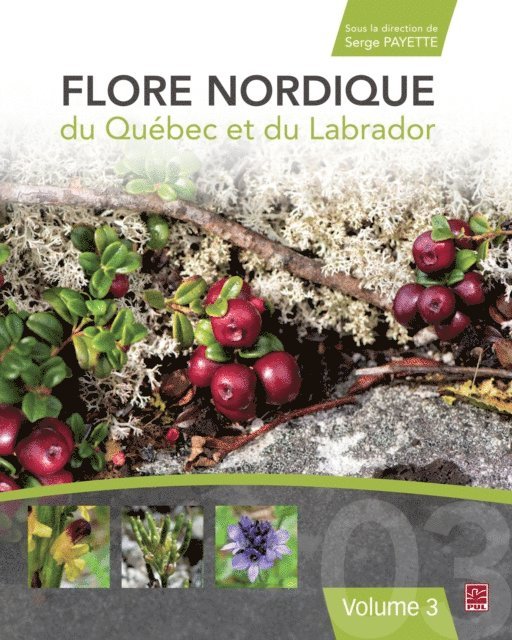 Payette Serge Payette - Flore nordique du Québec et du Labrador. Tome 3, E-bok