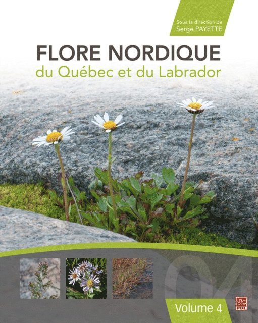 Collectif Collectif Collectif, Payette Serge Payette - Flore nordique du Québec et du Labrador. Volume 4, E-bok