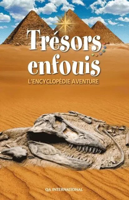 QA international Collectif QA international Collectif - Trésors enfouis - L'encyclopédie aventure, E-bok. Tillgänglighet: Lägg i varukorg
