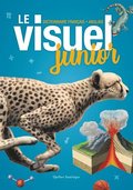 Le Visuel Junior: Dictionnaire Franais - Anglais