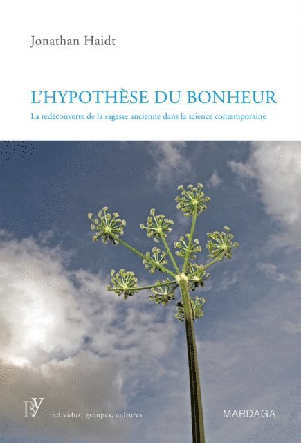 Jonathan Haidt - L'hypothèse du bonheur, E-bok