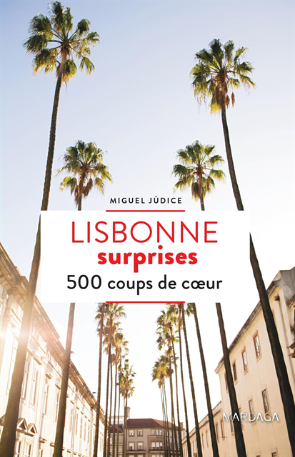 Miguel Judice - Lisbonne surprises, E-bok