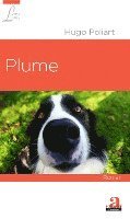 Hugo Poliart - Plume, Häftad
