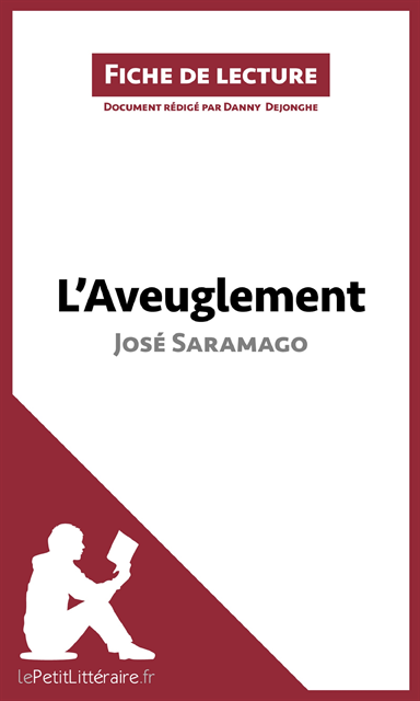 Danny Dejonghe, lePetitLitteraire - L'Aveuglement de José Saramago (Fiche de lecture), E-bok