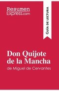 Don Quijote de la Mancha de Miguel de Cervantes (Gua de lectura)