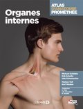 Atlas d'anatomie Promethee