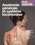 Atlas d'anatomie Promethee