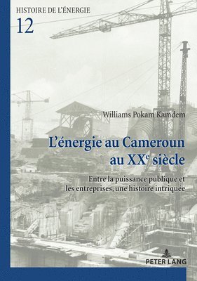 Williams Pokam Kamdem - L'énergie au Cameroun au XXe siècle, Häftad