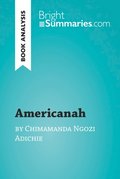 Americanah by Chimamanda Ngozi Adichie (Book Analysis)