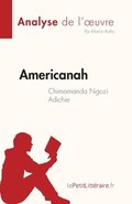 Americanah de Chimamanda Ngozi Adichie (Analyse de l'oeuvre)