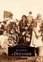 Douvaine (Le canton de)