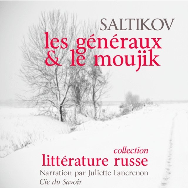 Saltykov-Shchedrin - Les Généraux et le moujik, Ljudbok