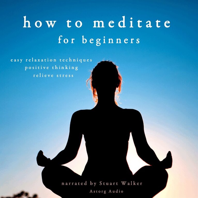 John Mac - How to Meditate, Ljudbok