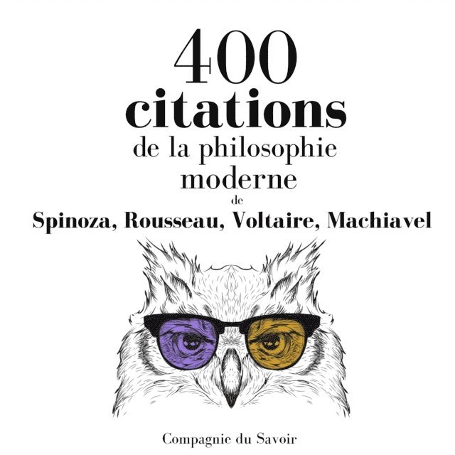Spinoza, Machiavel, Rousseau, Voltaire - 400 citations de la philosophie moderne, Ljudbok