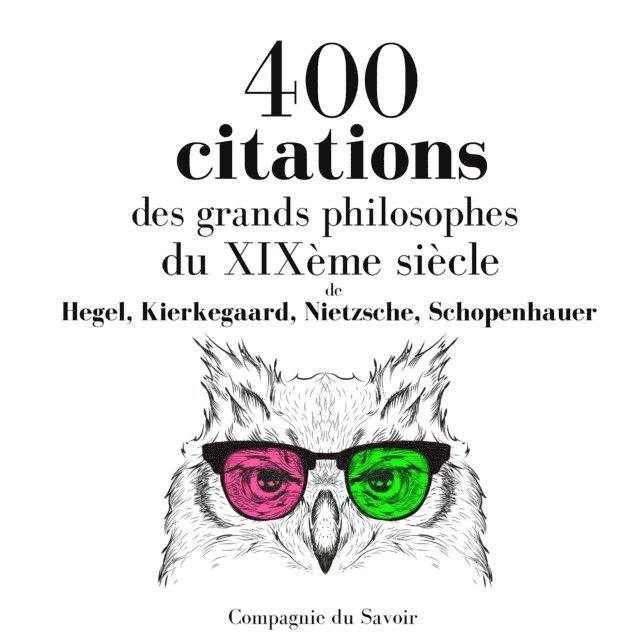 Hegel, Schopenhauer, Nietzsche, Kierkegaard - 400 citations des grands philosophes du XIXème siècle, Ljudbok