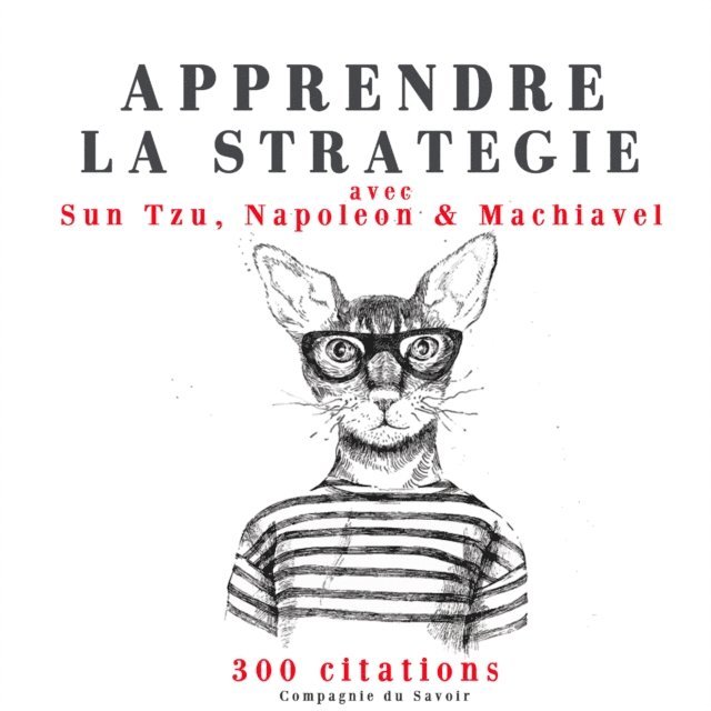 Napoleon, Machiavel, Tzu - Apprendre la stratégie avec Sun Tzu, Machiavel, Napoléon, Ljudbok