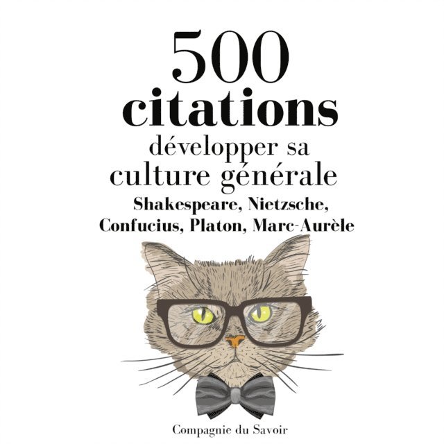 Aurelius, Confucius, Nietzsche, Platon, Shakespeare - Développer sa culture générale en 500 citations, Ljudbok