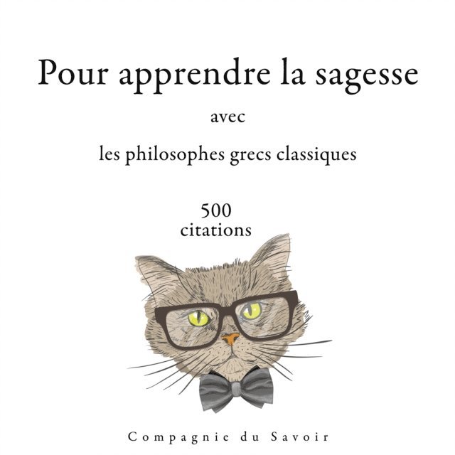 Socrates, Heraclitus, Epictetus, Aristotle, Platon - 500 citations pour apprendre la sagesse avec les philosophes grecs classiques, Ljudbok