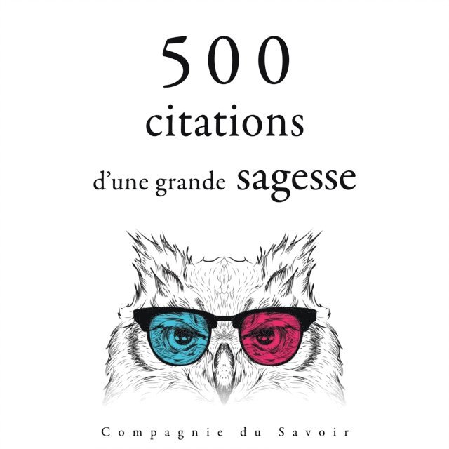 Buddha, Teresa, King, Aurelius, Gandhi - 500 citations d'une grande sagesse, Ljudbok