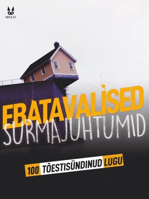 Luc Tailleur, Marion Ambrosino, Sandrine Brugot, John Mac - 100 TÕESTISÜNDINUD LUGU EBATAVALISTEST SURMAJUHTUMITEST, E-bok