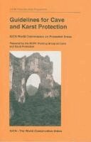 WCP Working Group on Cave and Karst Protection - Guidelines for Cave and Karst Protection, Häftad. Tillgänglighet: Tillfälligt slut