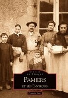 Pamiers et ses environs