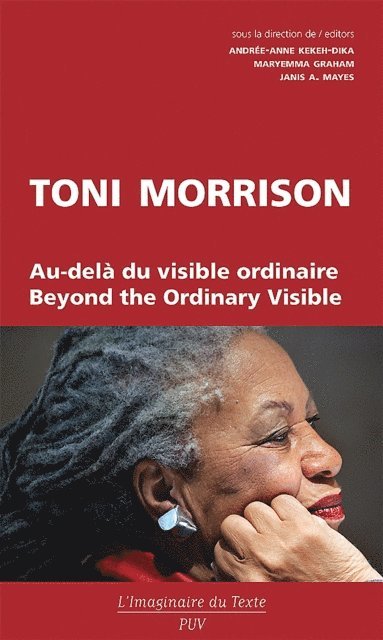 Maryemma Graham, Andree-Anne Kekeh-Dika - Toni Morrison, E-bok