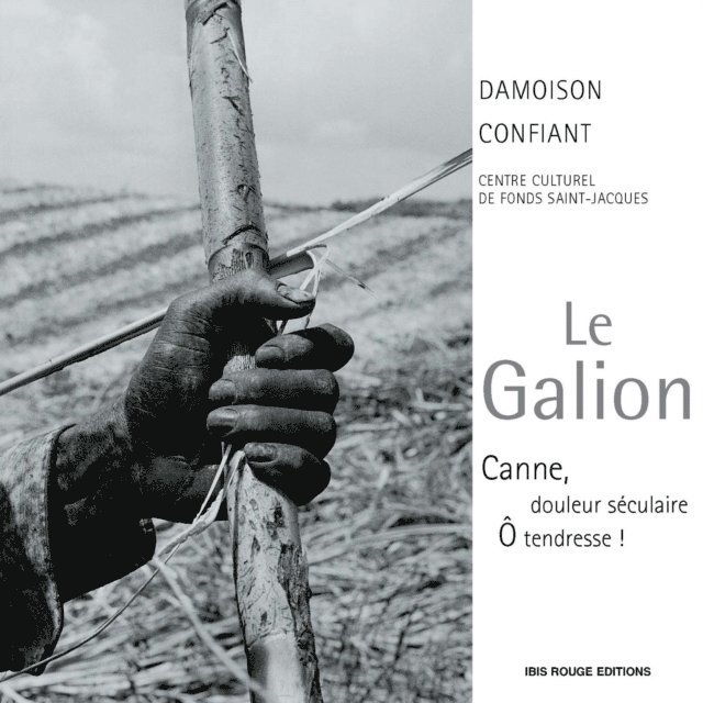David Damoison, Raphael Confiant - Le galion, E-bok