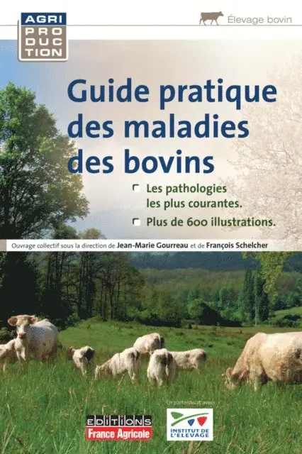 Francois (sous la dir. de) Schelcher, Jean-Marie (sous la dir. de) Gourreau - Guide pratique des maladies des bovins, E-bok. Tillgänglighet: Lägg i varukorg