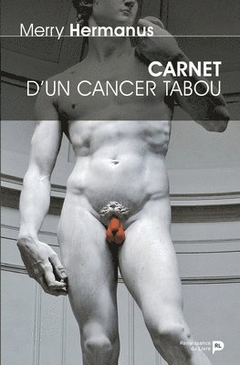 Merry Hermanus - Carnet d'un cancer tabou, Häftad