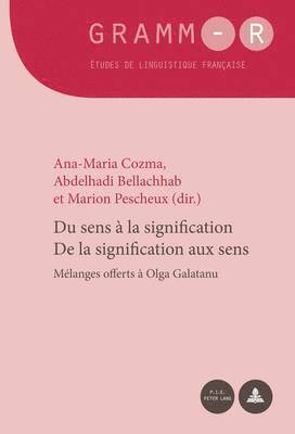 Dan Van Raemdonck, Ana-Maria Cozma, Abdelhadi Bellachhab, Marion Pescheux - Du Sens À La Signification / de la Signification Aux Sens, Häftad